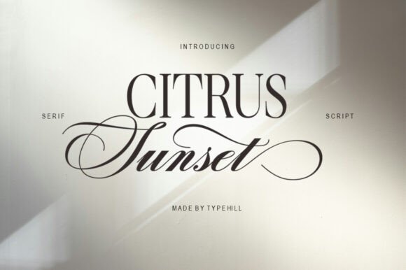 Citrus Sunset: A Bold Font Pairing for Modern Brands
