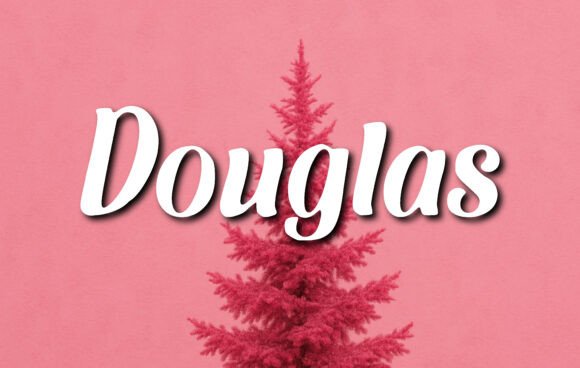 Douglas: A Script Font with Retro Soul and Modern Grit
