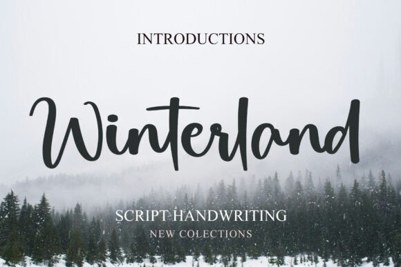 Winterland: A Script Font with Commanding Elegance